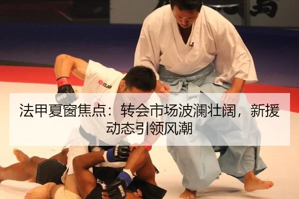 法甲夏窗焦点：转会市场波澜壮阔，新援动态引领风潮